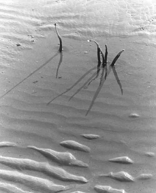 Shadows and Reflections