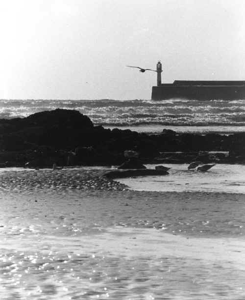 Foreshore - Penzance