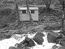 The Shed/Lamorna